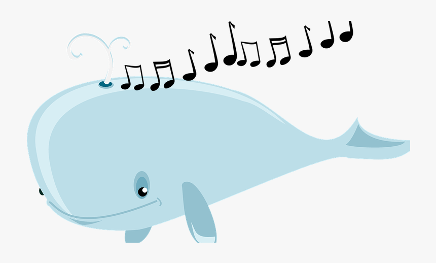 Whale Sounds Clipart Graphic Free Library Why Do Whales - Whales, HD Png Download