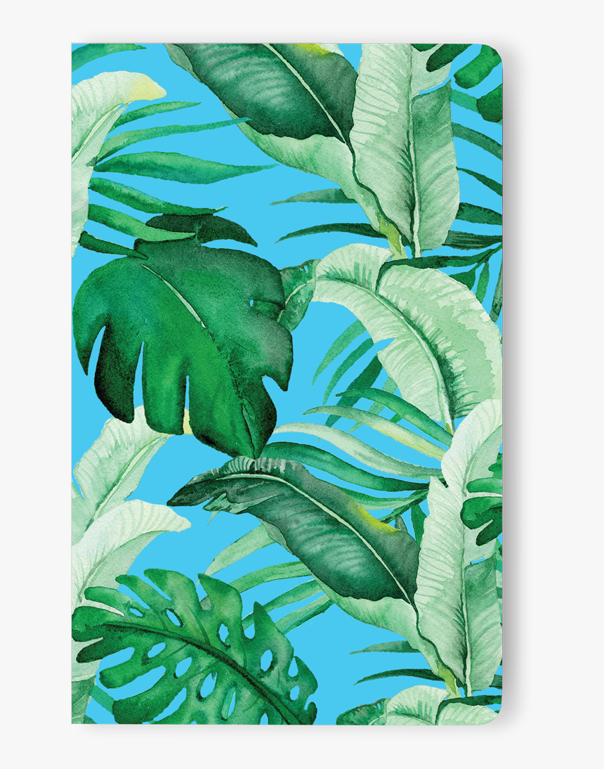 Rainforest, HD Png Download