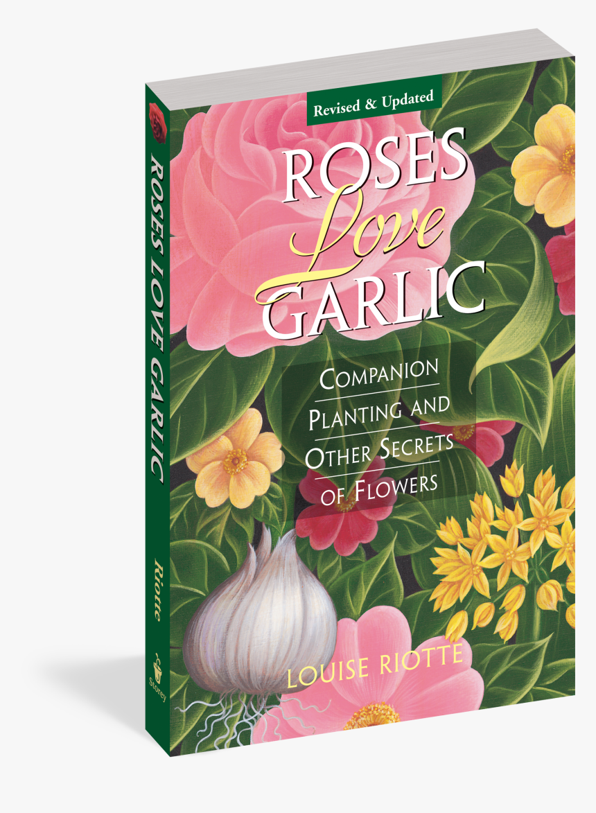 Cover - Louise Riotte, HD Png Download