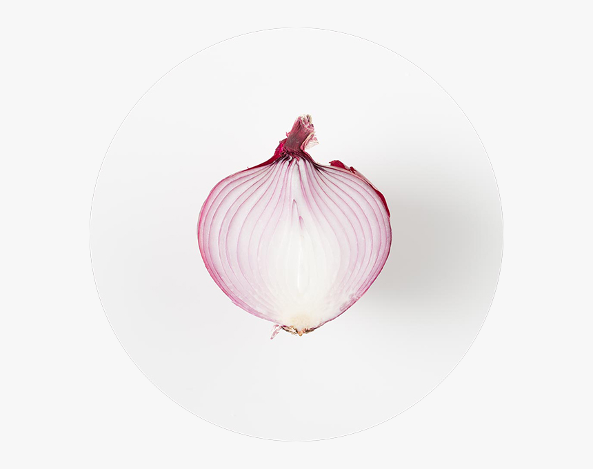 Red Onion, HD Png Download