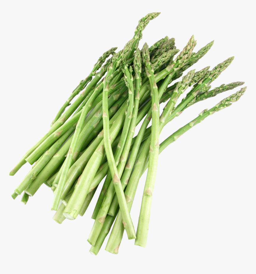 Download Asparagus Transparent Png - Asparagus Png, Png Download