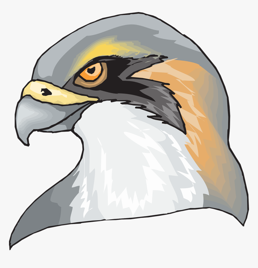Hawk Head Png, Transparent Png