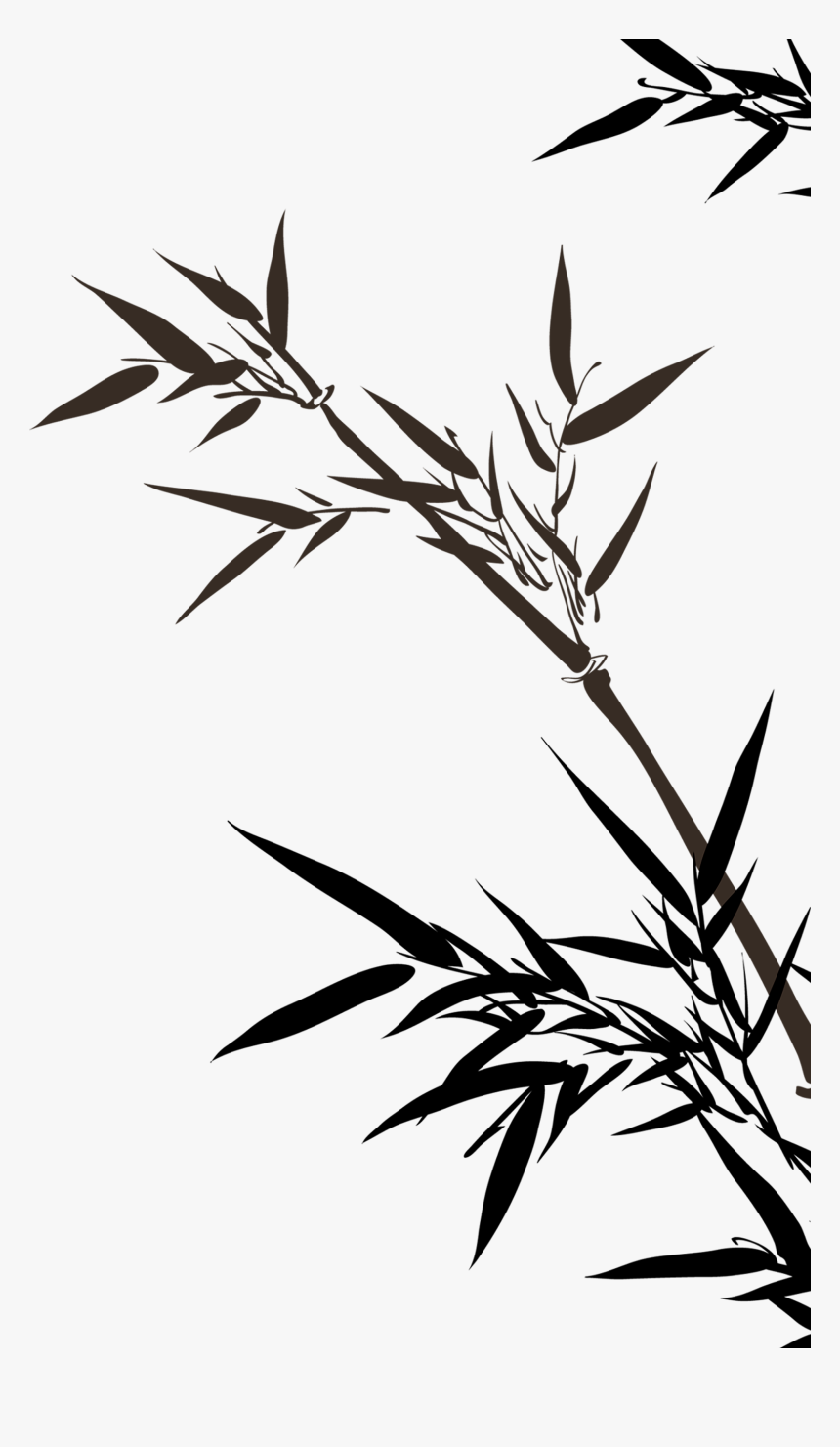 Clip Art Leaves Transprent - Bamboo Drawing Png, Transparent Png