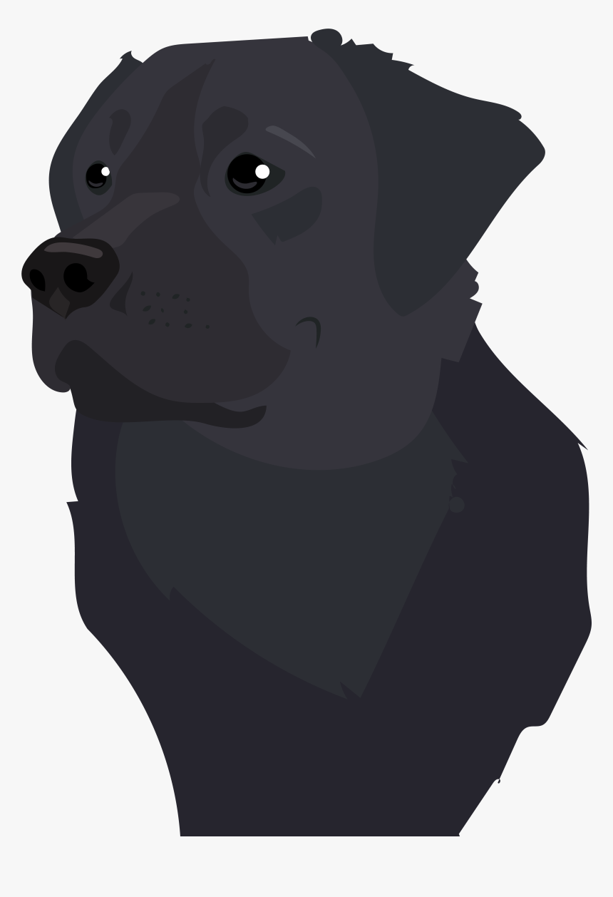 Transparent Pug Vector Png - Illustration, Png Download