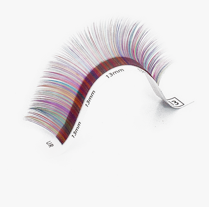 Fairy Colour - Insect - Sketch, HD Png Download