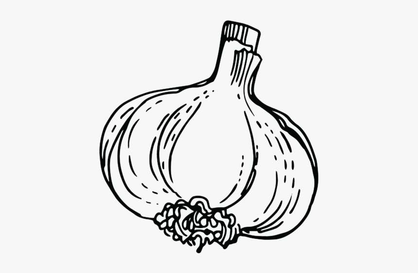 Garlic, HD Png Download