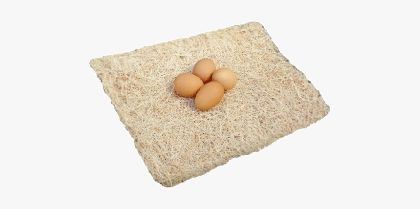 Egg, HD Png Download