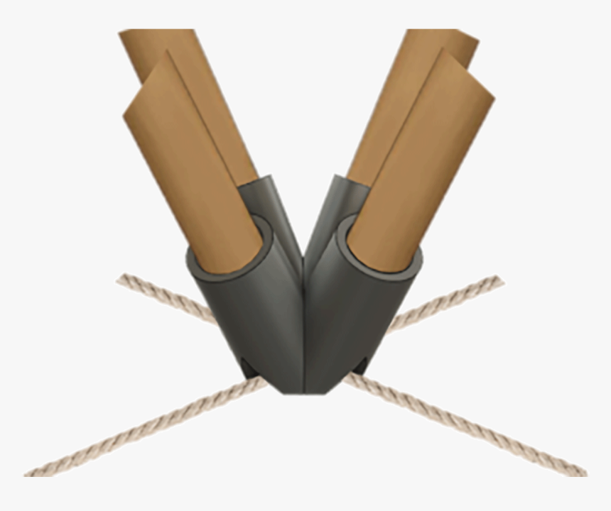 Invertebrate, HD Png Download