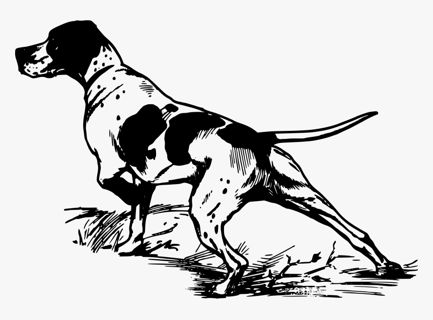 Pointer Greyhound Bird Dog Hunting Clip Art - Bird Dog Clip Art, HD Png Download