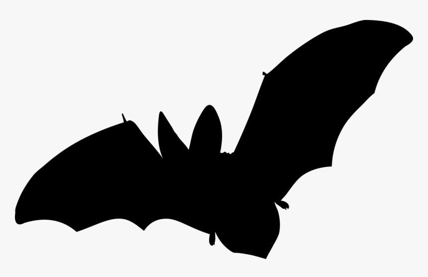 Bat, Mammal, Flying, No Background, Vector - Fledermaus Aufkleber, HD Png Download