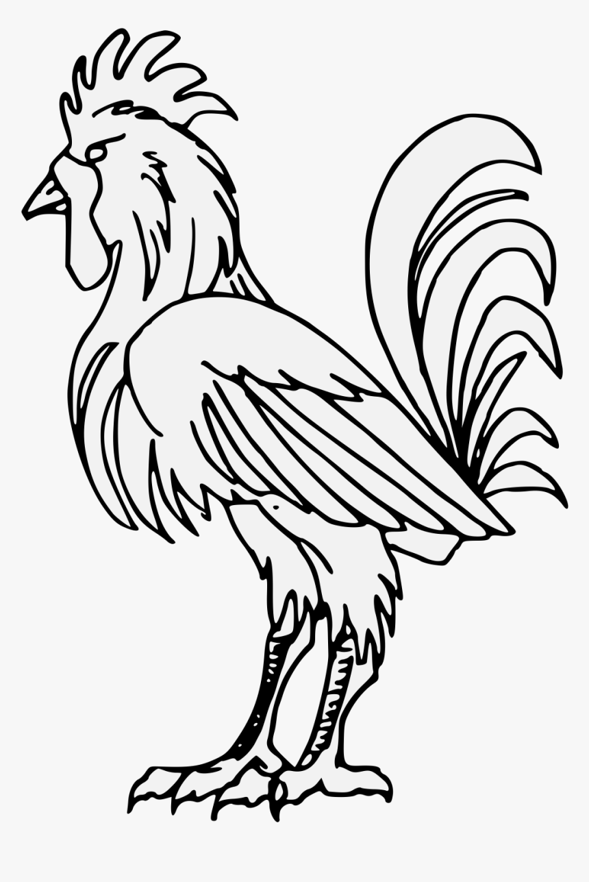 And White,art - Rooster, HD Png Download
