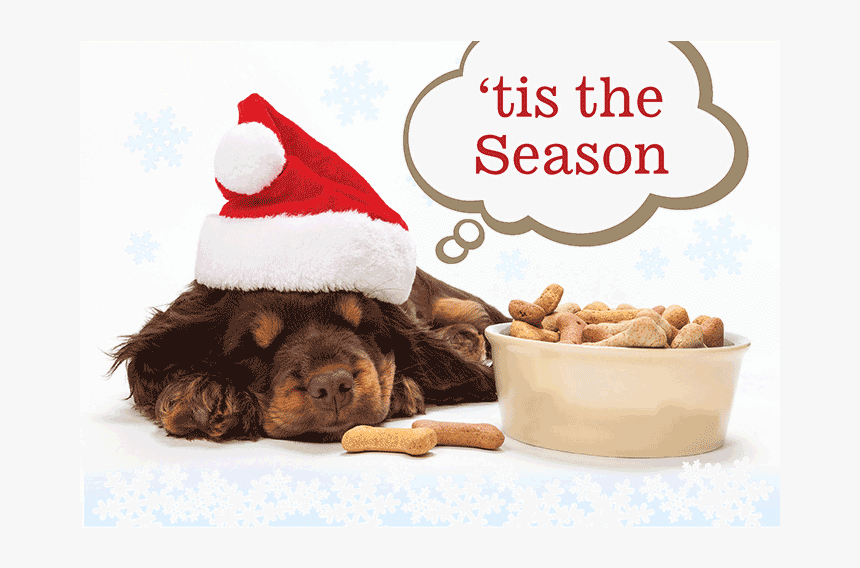 Peace & Joy Dog Bones - Weihnachts Hundekekse, HD Png Download