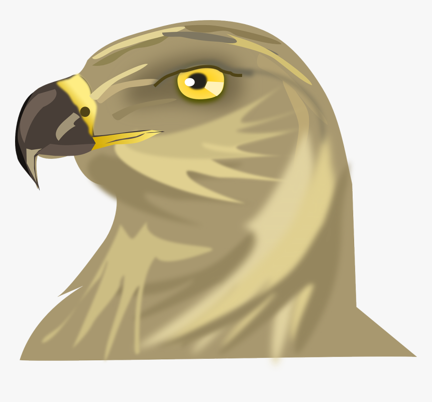 Cabeza De Halcon Png, Transparent Png