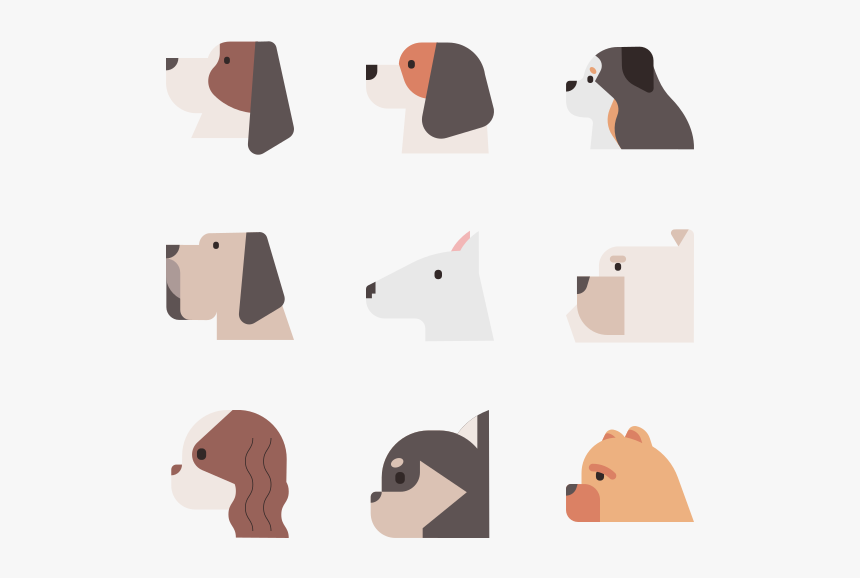 Dog Breeds - Basset Hound, HD Png Download