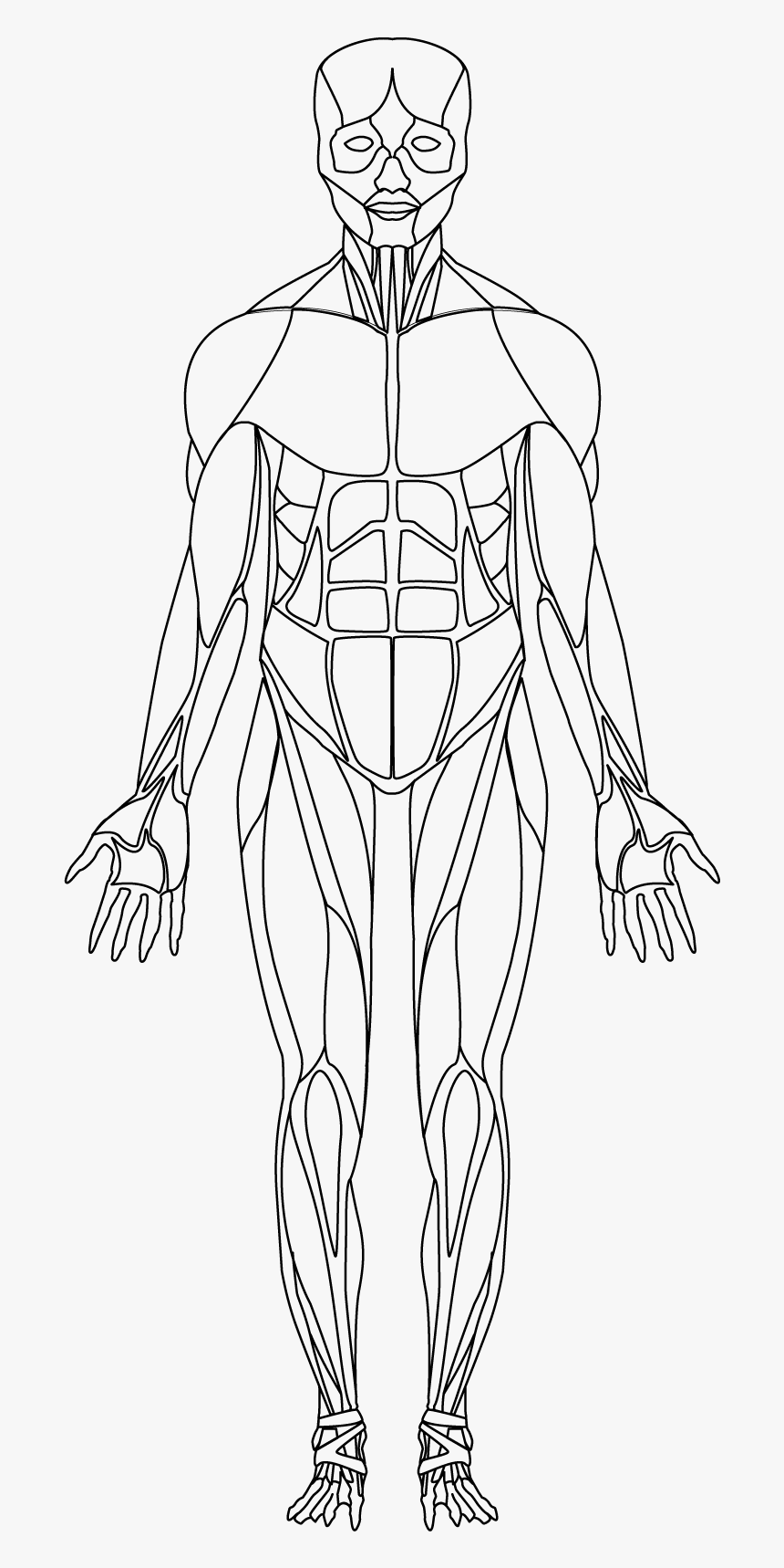 Sketch, HD Png Download