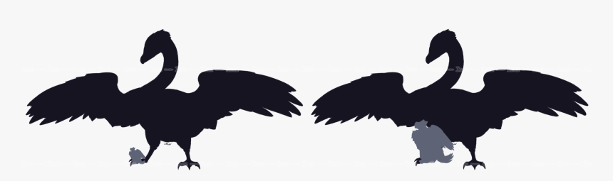 Beak Bird Crane Feather Silhouette - Illustration, HD Png Download