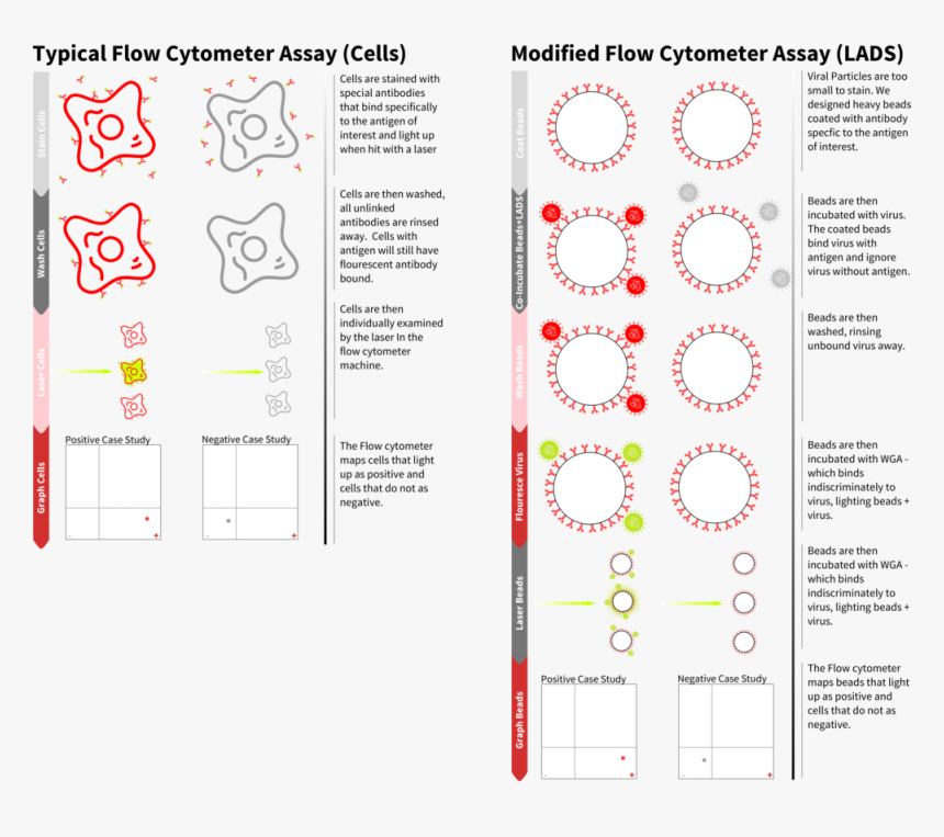 Side By Side - Circle, HD Png Download