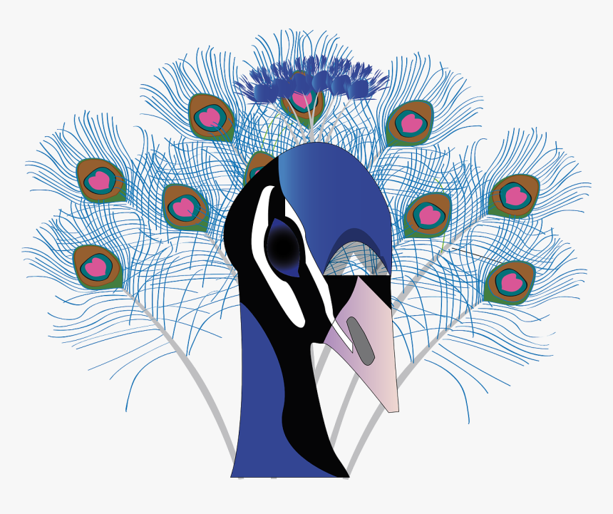 Colorama Coloring Book Peacock, HD Png Download