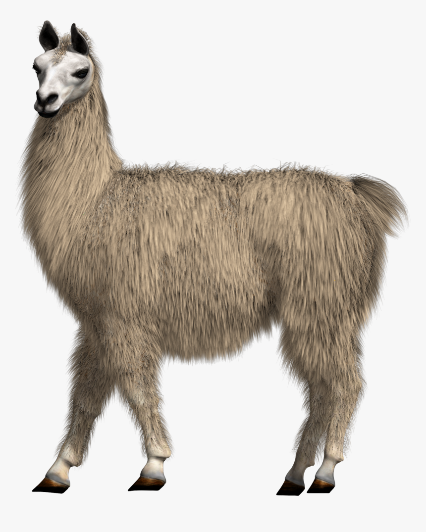 Figure - Llama With Transparent Background, HD Png Download