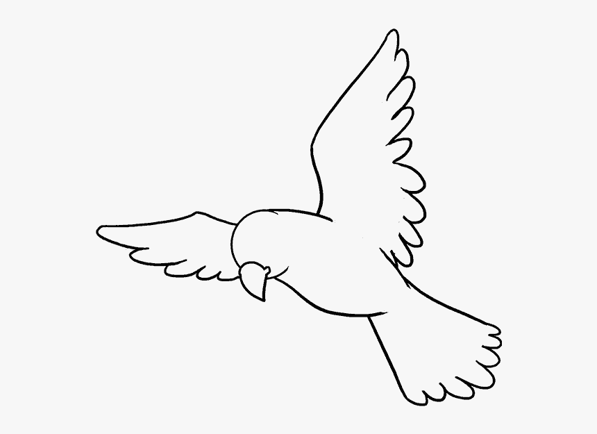 Drawn Head Bird - Drawing Of Bird, HD Png Download