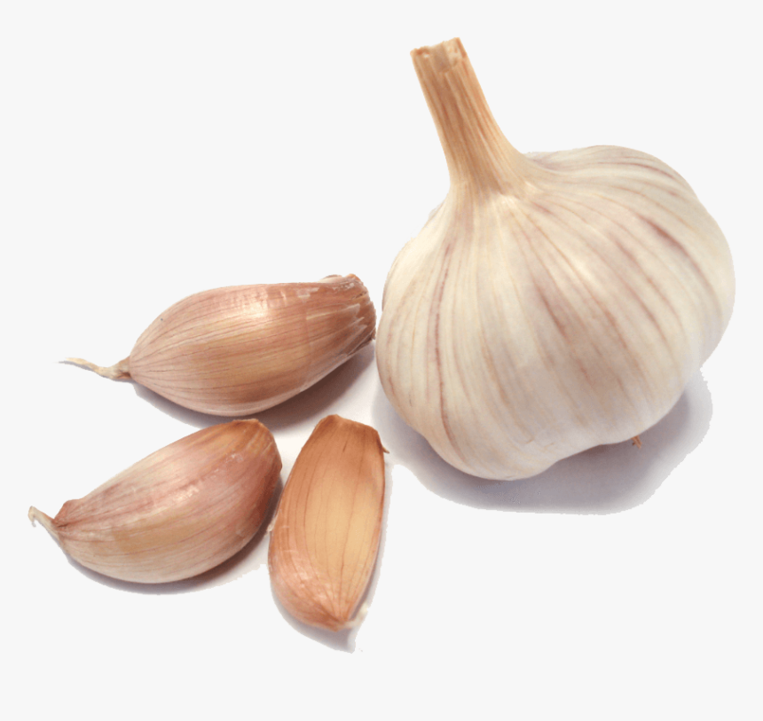 Ajo Grupo - Garlic Png, Transparent Png