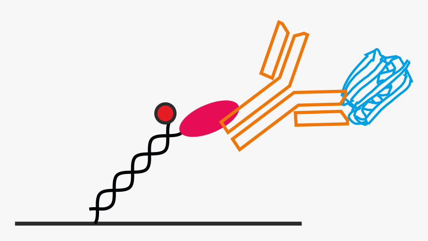 Clip Art, HD Png Download