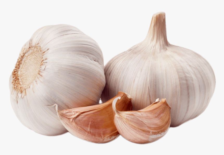 Garlic Duo - Garlic Png, Transparent Png