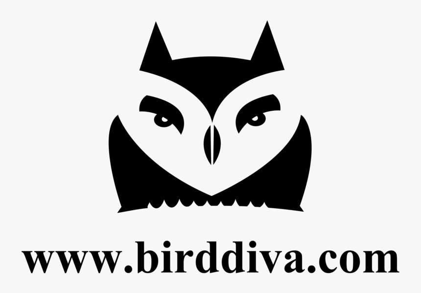 Bird Head Png, Transparent Png