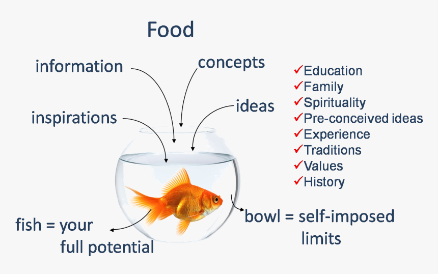 Bigfish Slide - Goldfish, HD Png Download