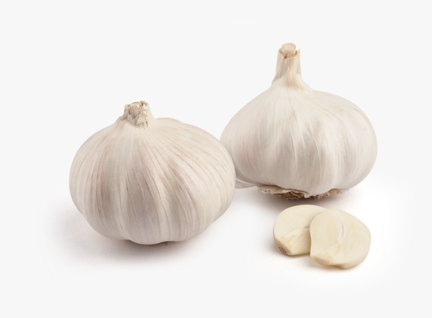 Inicio Ajo Blanco Elephant Garlic - Elephant Garlic, HD Png Download