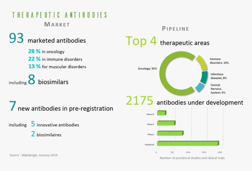 Transparent Antibodies Png - Screenshot, Png Download