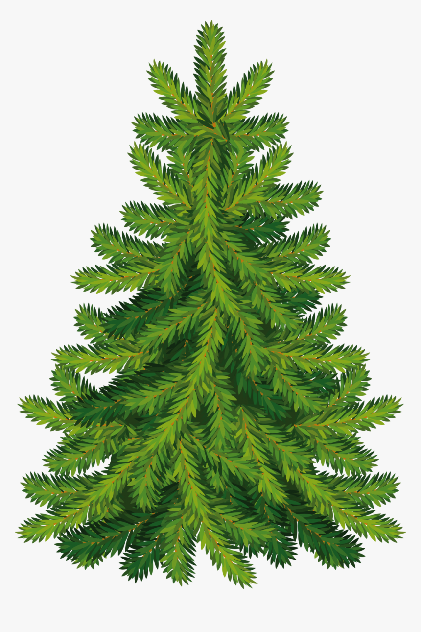 Christmas Tree, HD Png Download
