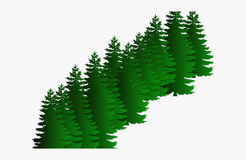 Fir Clipart Evergreen Tree - Sasquatch Svg, HD Png Download