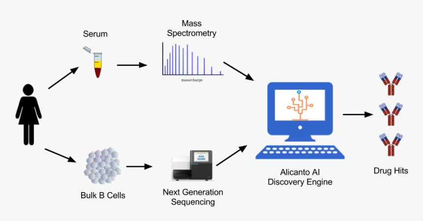 Alicanto Antibody Discovery - Next Generation Sequencing Antibody Discovery, HD Png Download
