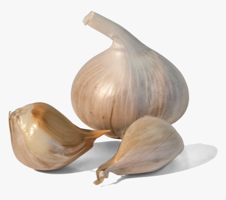 Transparent Ajo Png - Garlic On Transparent Background, Png Download