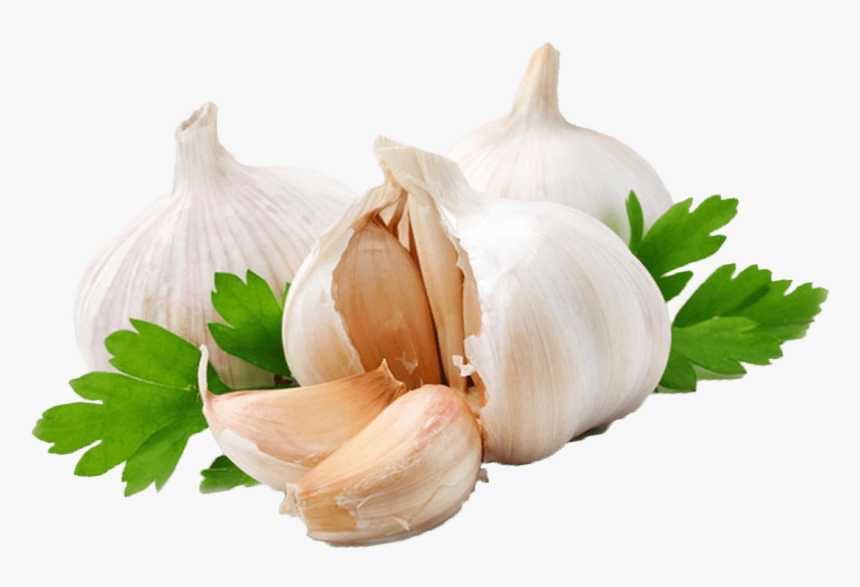 Garlic Coriander - Garlic Png, Transparent Png