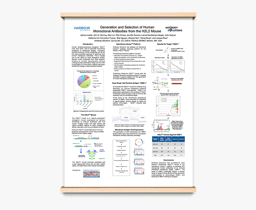 Screenshot, HD Png Download