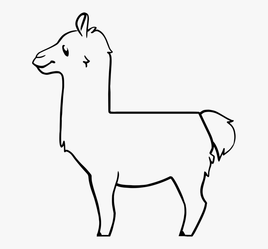 Llama, Mammal, Animal, Alpaca, Lama, Fur, Desert, Cute, HD Png Download