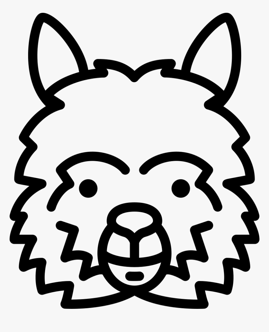 Lama Head - Wonderful Fondos De Pantalla Para El Ordenador, HD Png Download