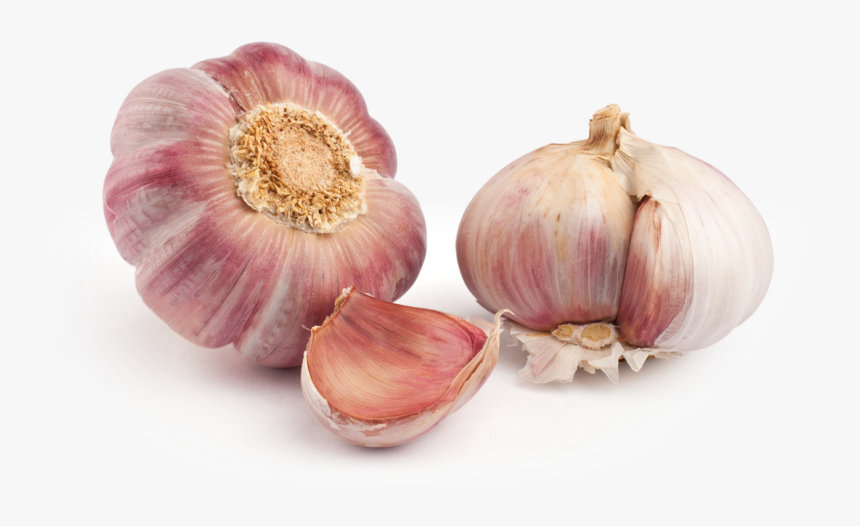 Ajo Morado Png - Garlic Purple, Transparent Png