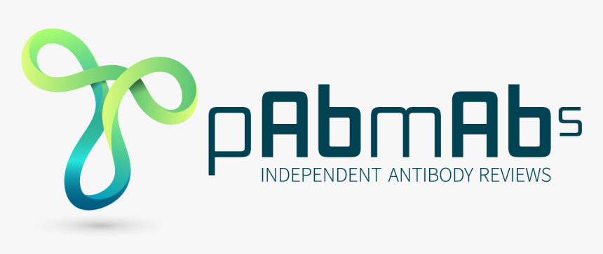 Logo Antibody, HD Png Download