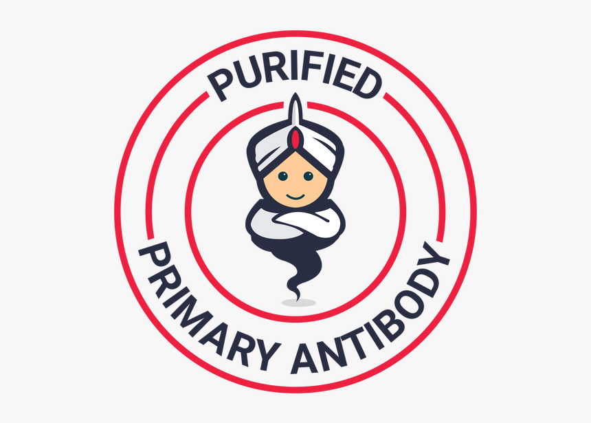 Antibody, HD Png Download