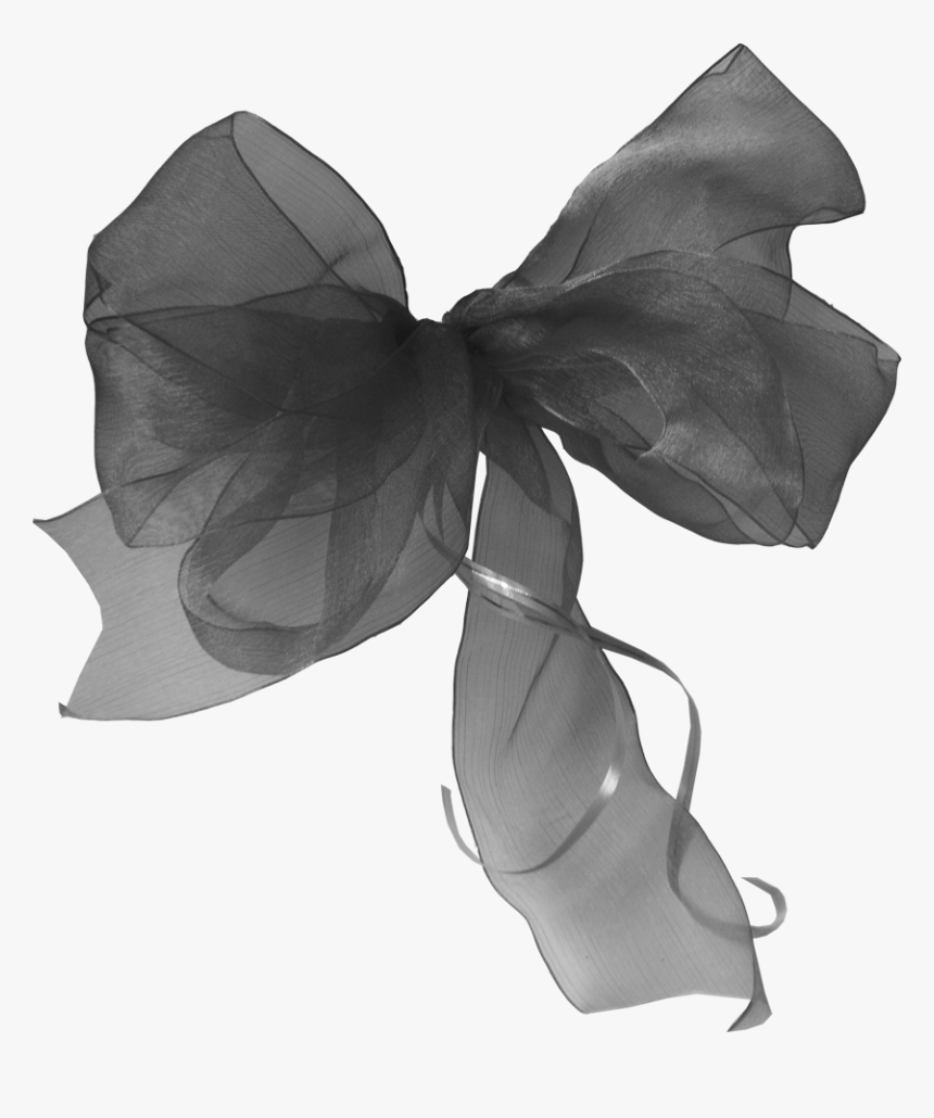 Monochrome, HD Png Download