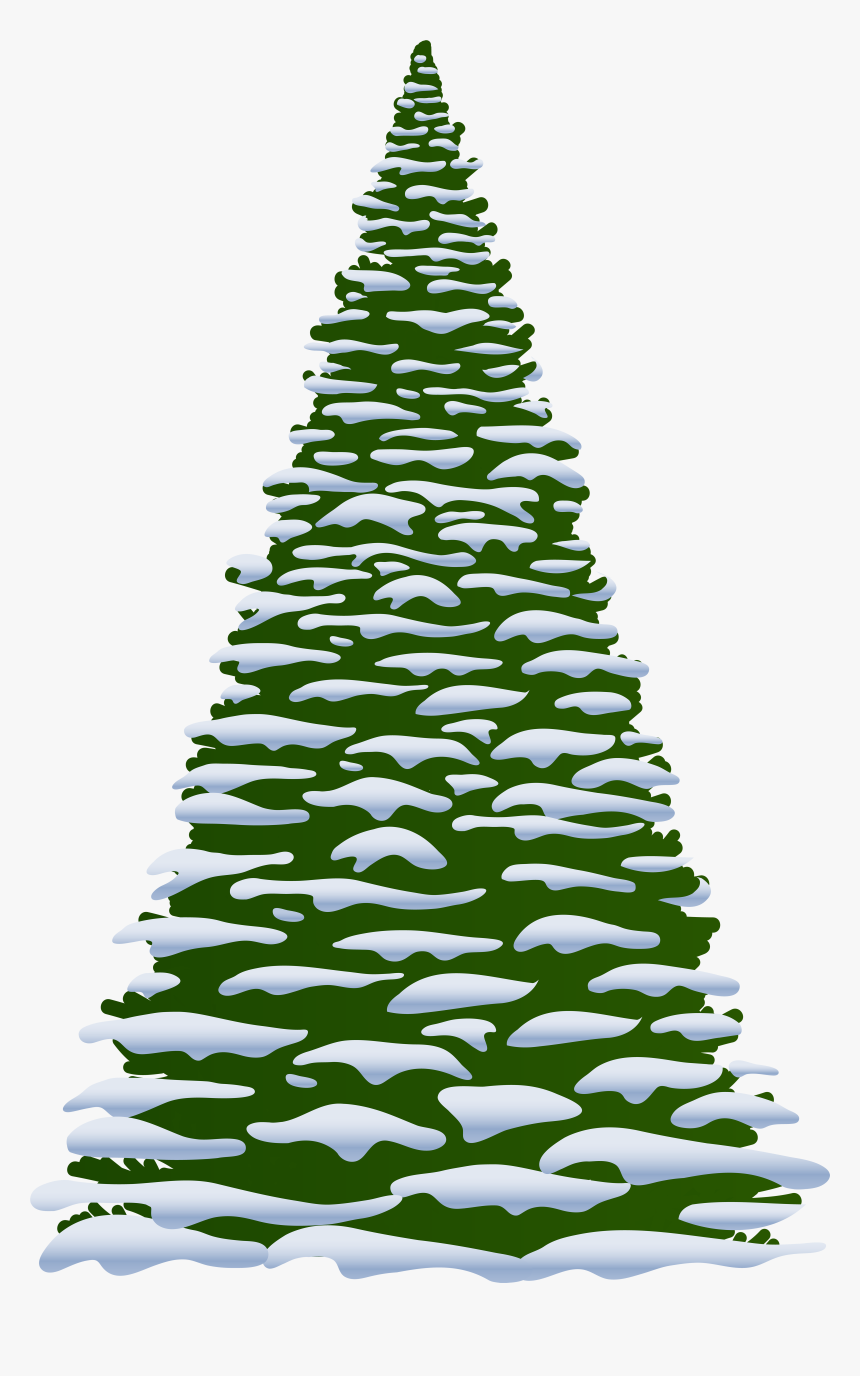 Fir Tree Clipart Oregon Tree - Christmas Tree With Snow Clipart, HD Png Download