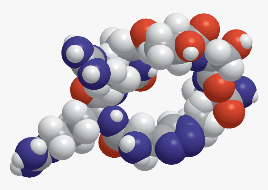 Balloon, HD Png Download