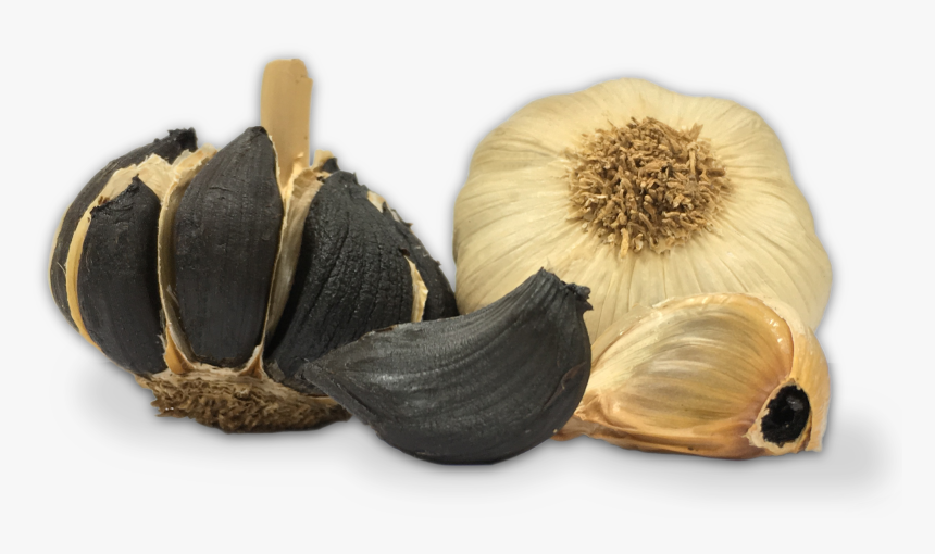 Ajo Negro Pedroñete - Black Garlic Png, Transparent Png