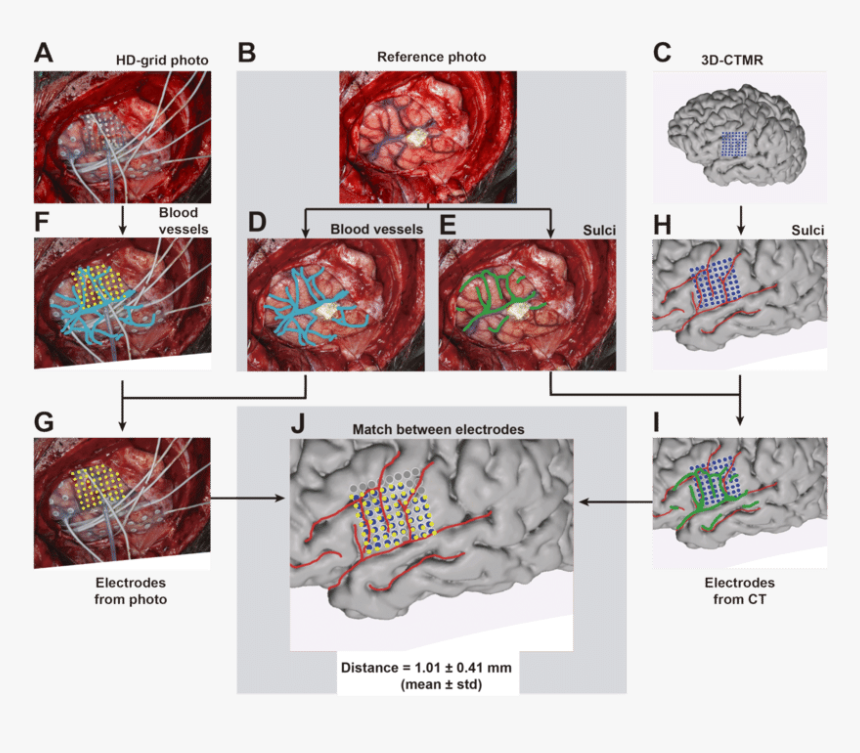 Diagram, HD Png Download