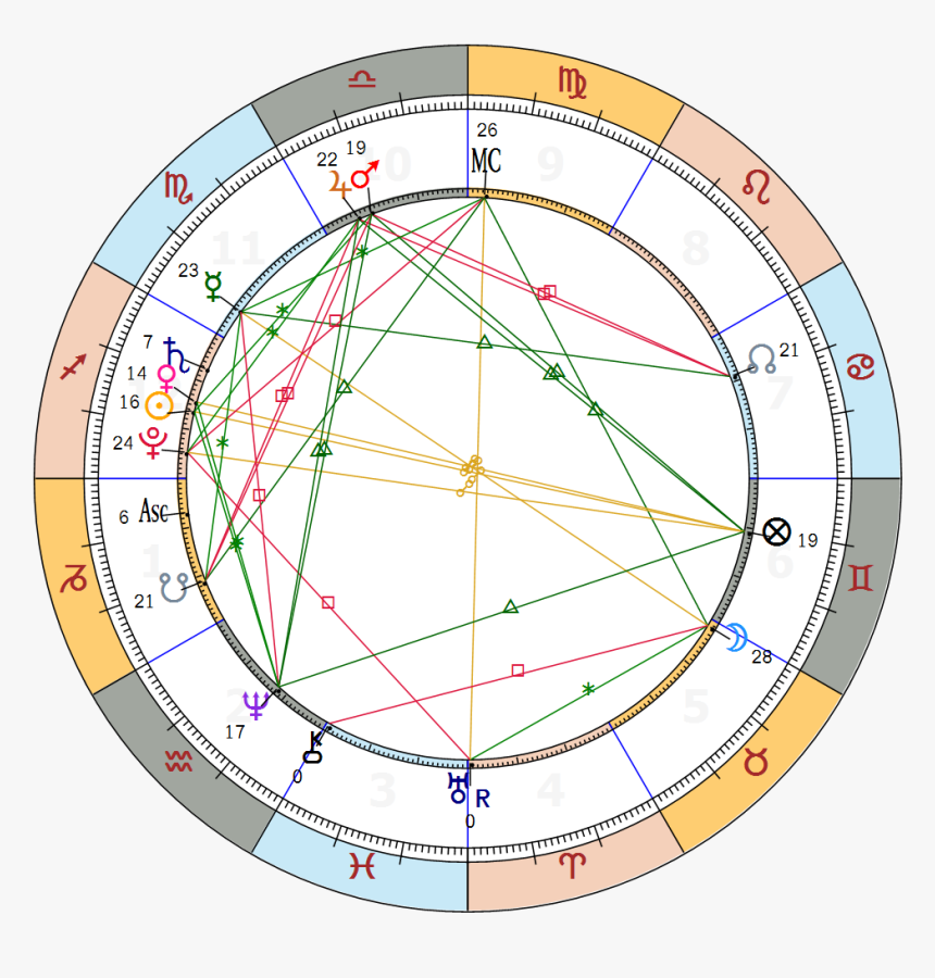 Transparent Lama Png - Circle, Png Download