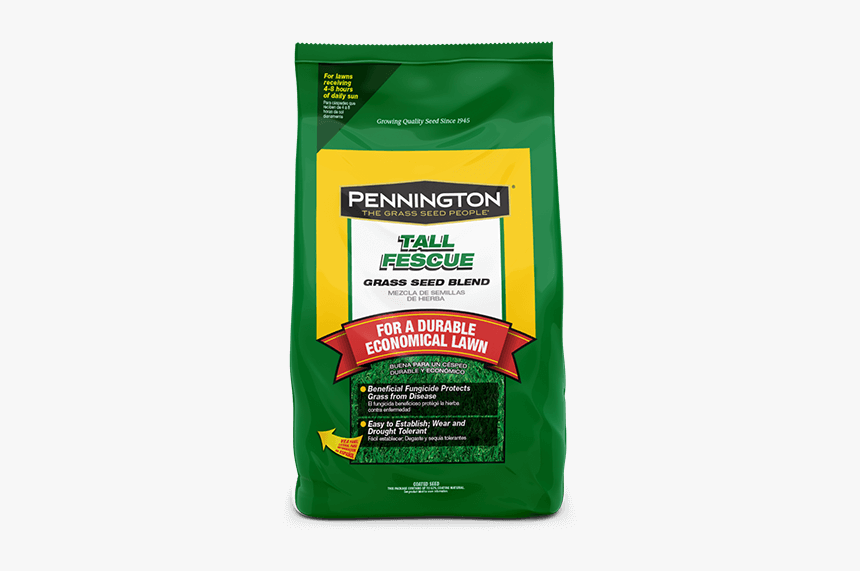 Pennington Tall Fescue - Lowes Tall Fescue, HD Png Download