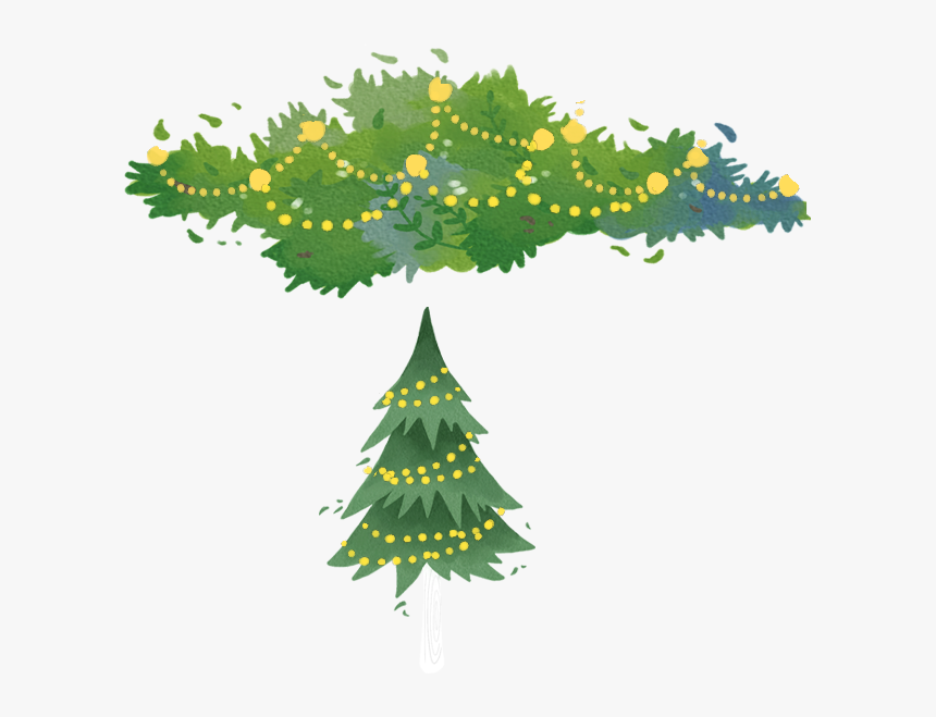 Spruce Fir Tree Christmas Pine Free Download Image - Illustration, HD Png Download